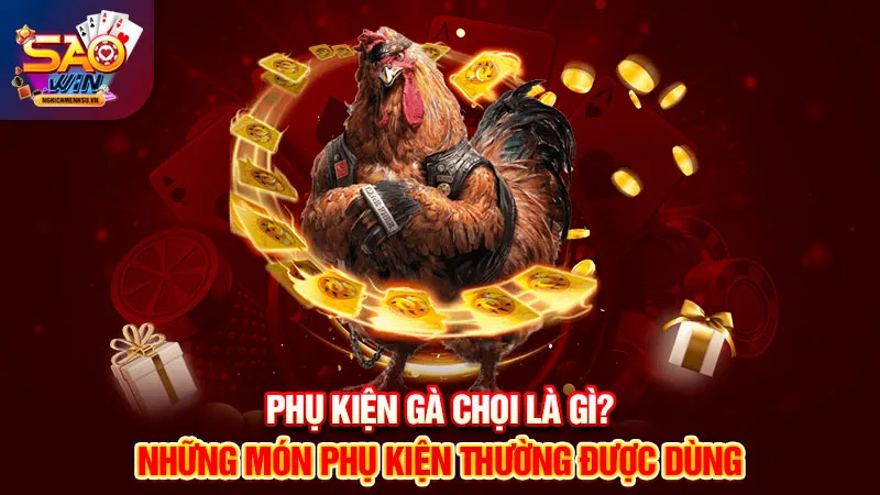 phụ kiện gà chọi